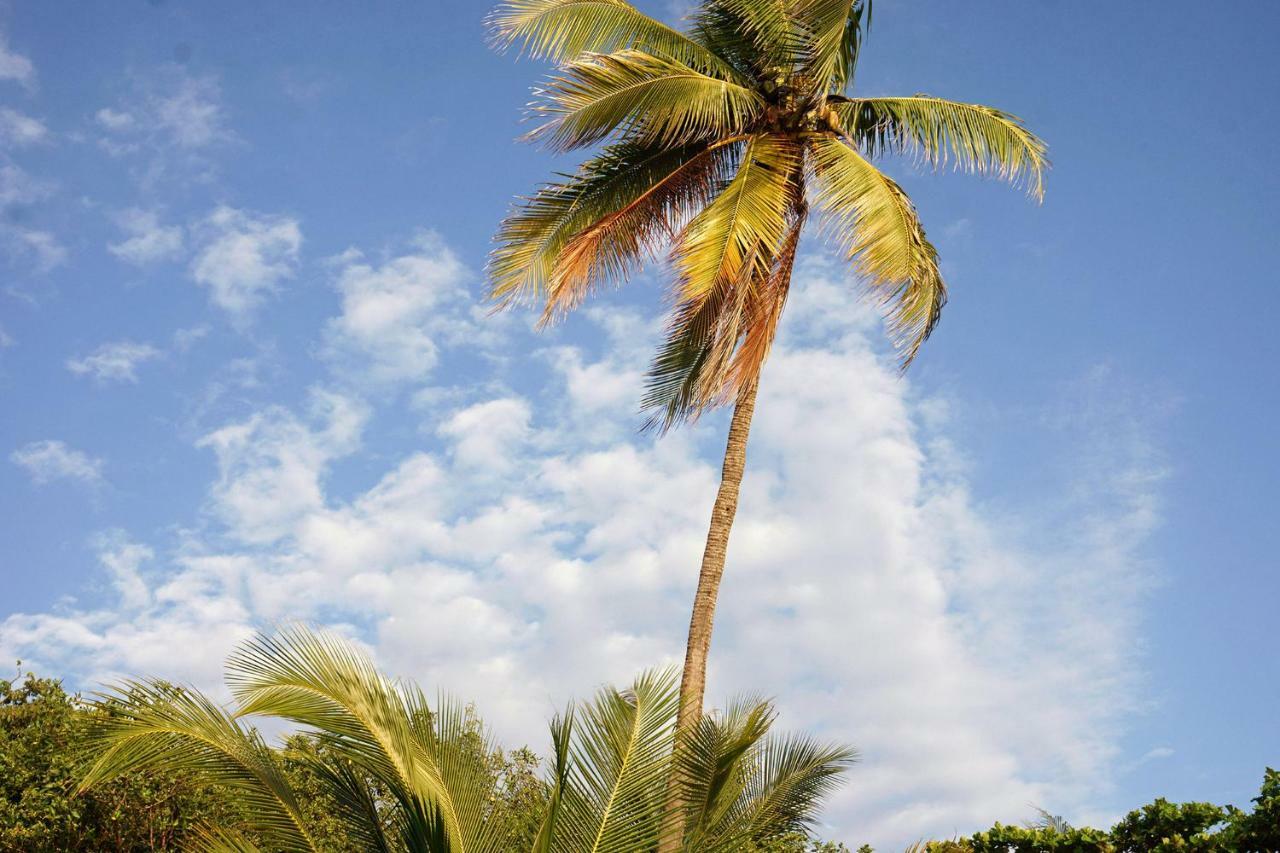 Villa Havana Malpais Exterior photo